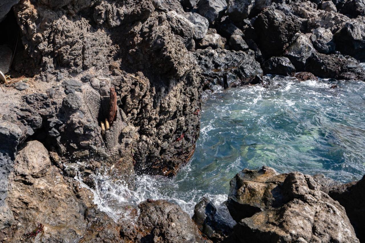 Breath-Taking Views On The First Line Of The Ocean Villa Santa Cruz de Tenerife Exteriör bild